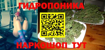 крисы Ливны